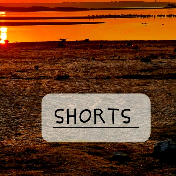 Shorts - Picture 1 of 1